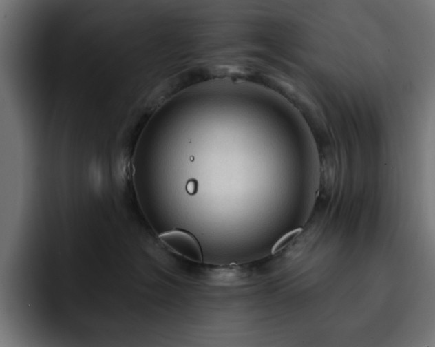 X0000093110574200710031318