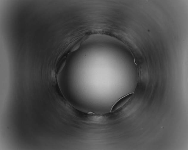 X0000093110575200710031318