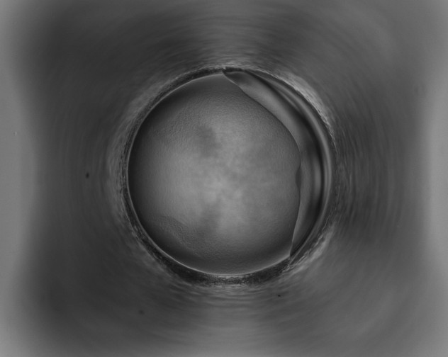 X0000093110577200710031317
