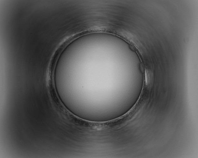 X0000093110579200710031317