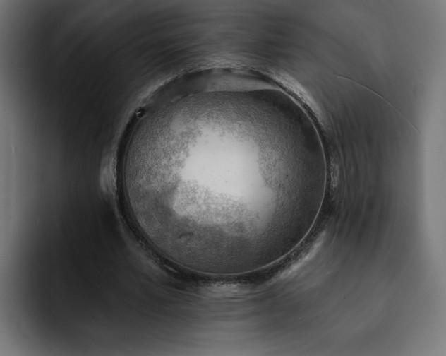 X0000093110581200710031317
