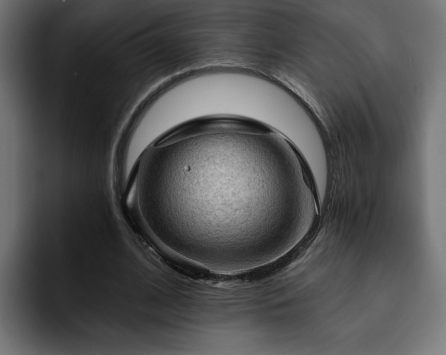 X0000093110584200710031317