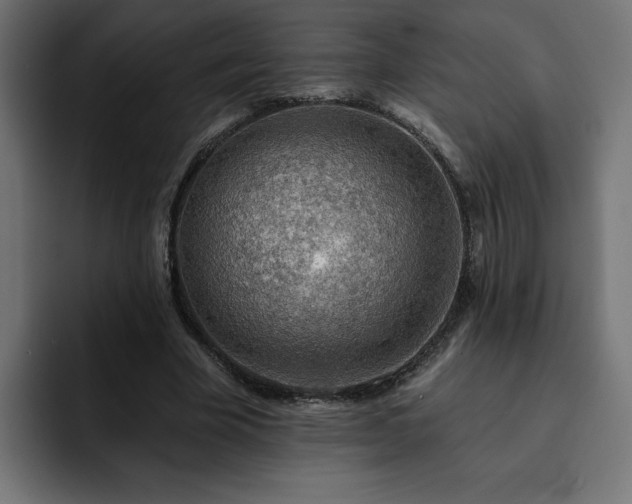 X0000093110585200710031317