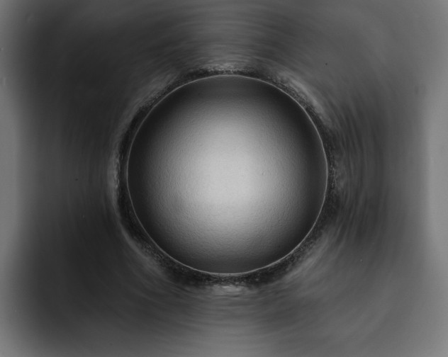 X0000093110586200710031317