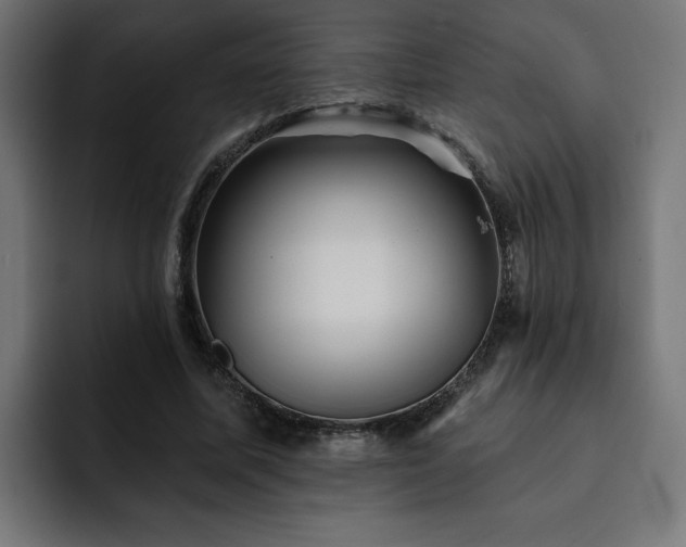 X0000093110587200710031317