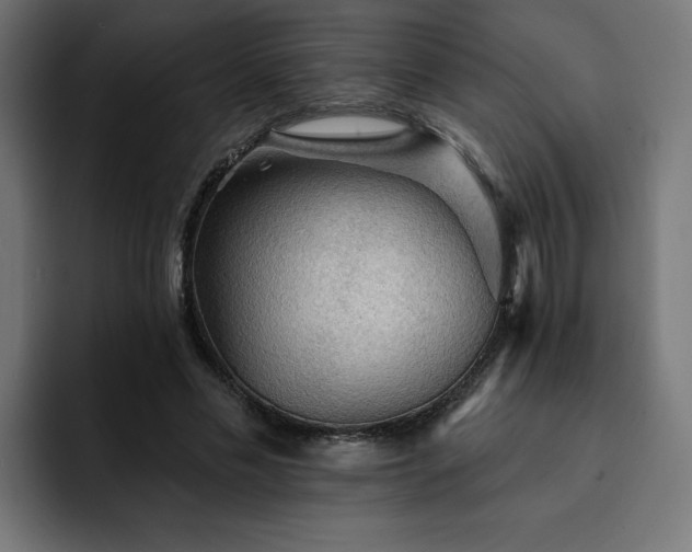 X0000093110589200710031317