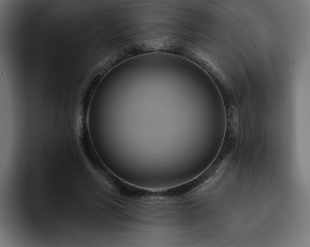 X0000093110590200710031317