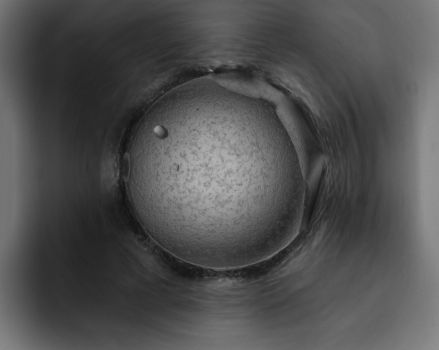 X0000093110593200710031317