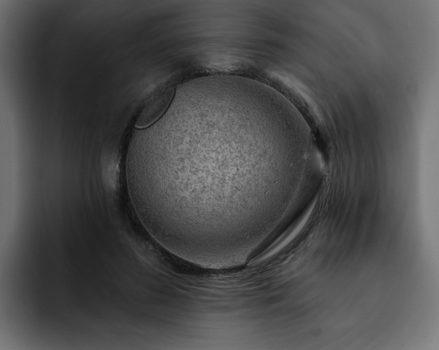 X0000093110596200710031317