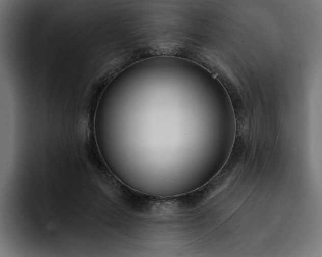 X0000093110599200710031317