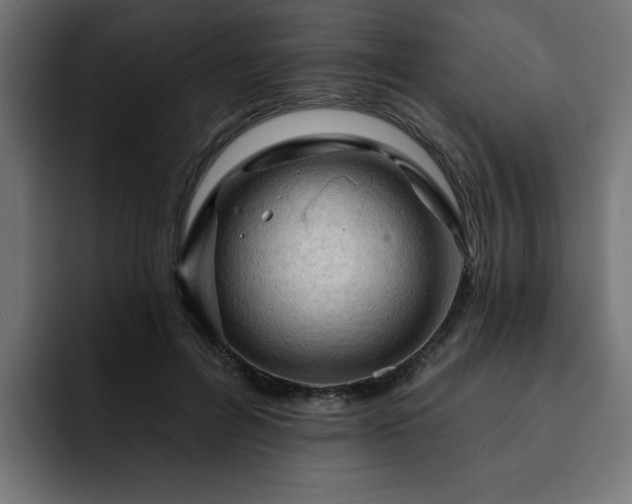 X0000093110600200710031317