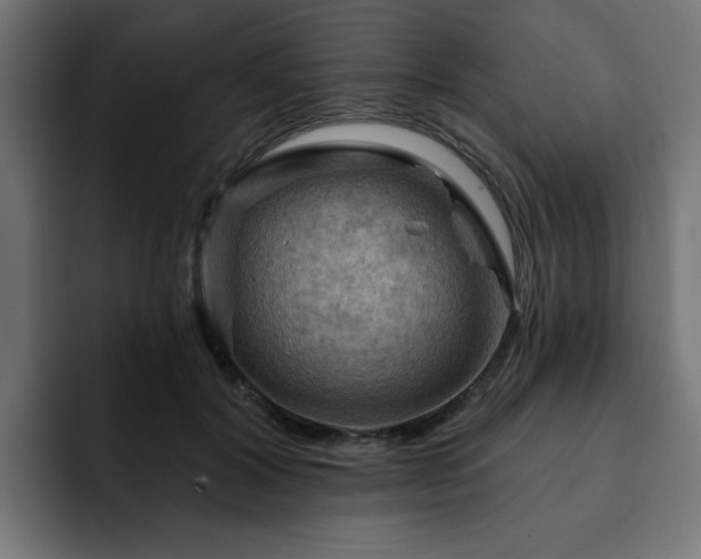 X0000093110604200710031317