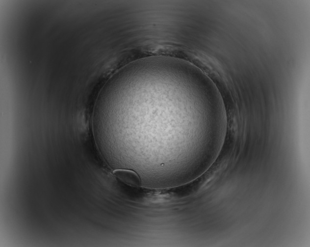 X0000093110607200710031317