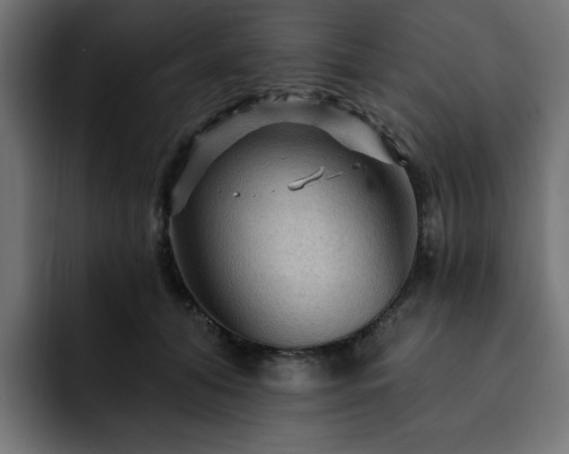 X0000093110608200710031317