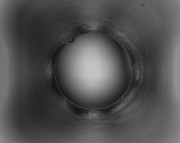 X0000093110612200710031317