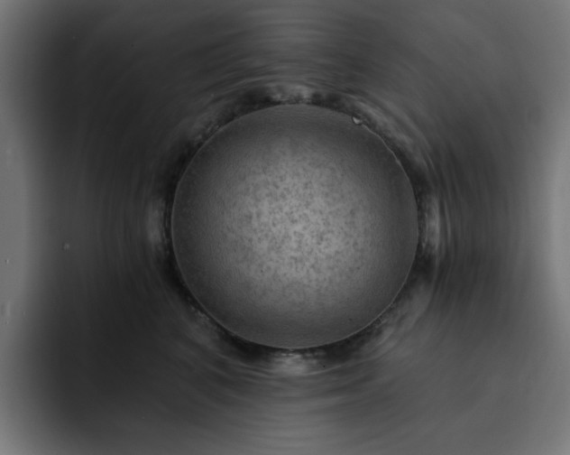 X0000093110616200710031317