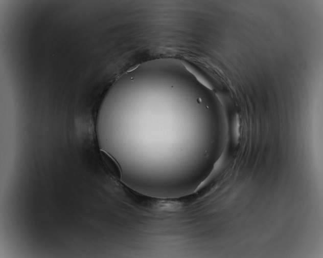 X0000093110617200710031317