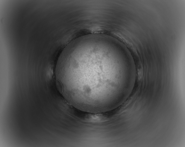 X0000093110618200710031317