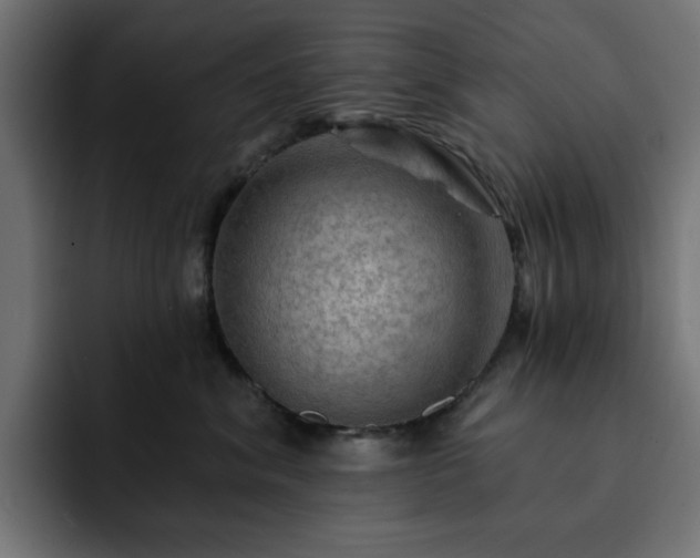 X0000093110620200710031317