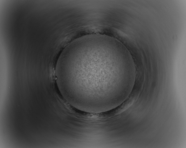 X0000093110624200710031317