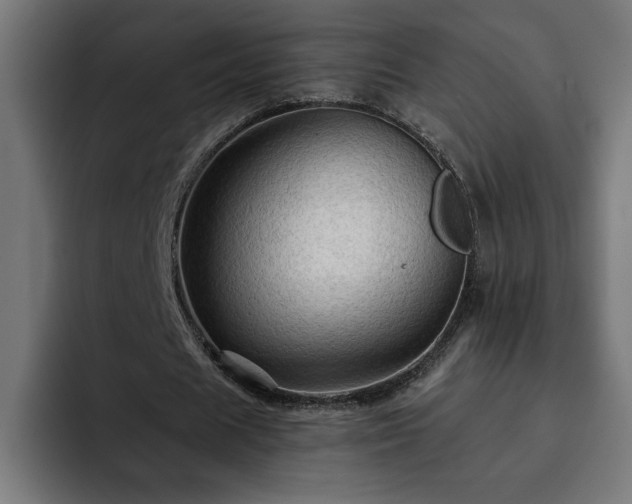 X0000093110625200710031316