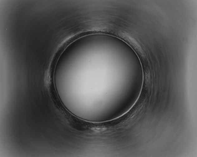X0000093110628200710031316