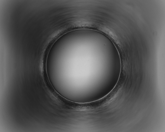 X0000093110629200710031316