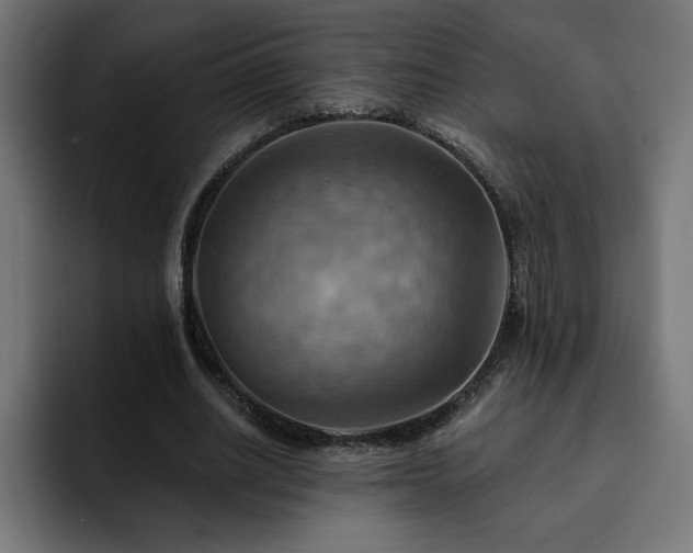 X0000093110630200710031316