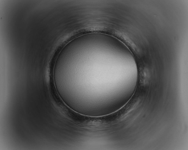 X0000093110631200710031316