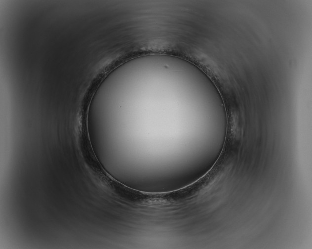 X0000093110636200710031316