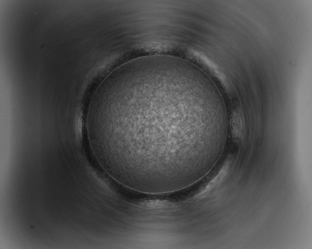 X0000093110637200710031317
