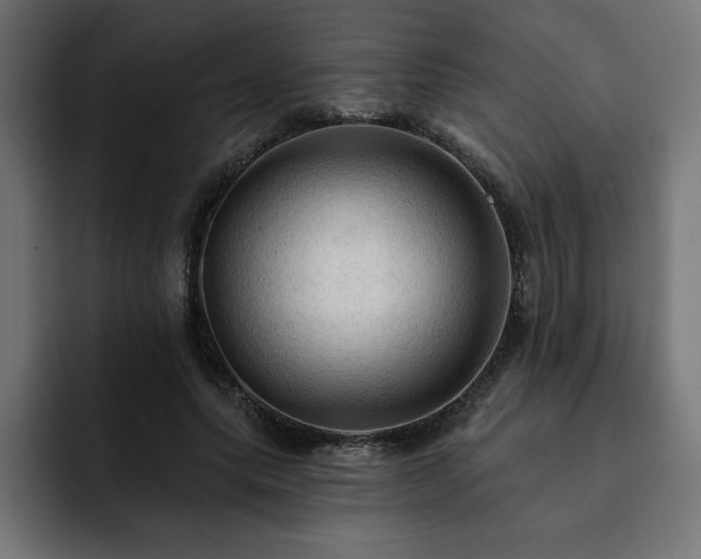 X0000093110639200710031317