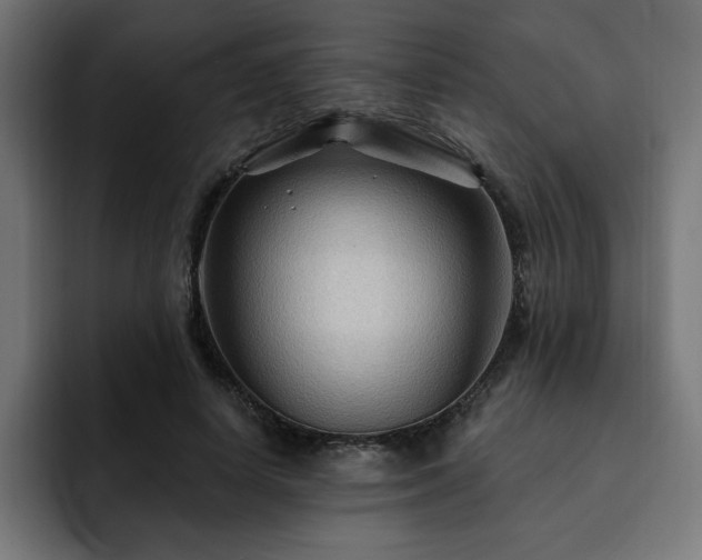 X0000093110642200710031317