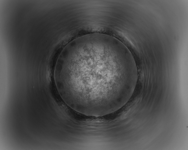 X0000093110643200710031317
