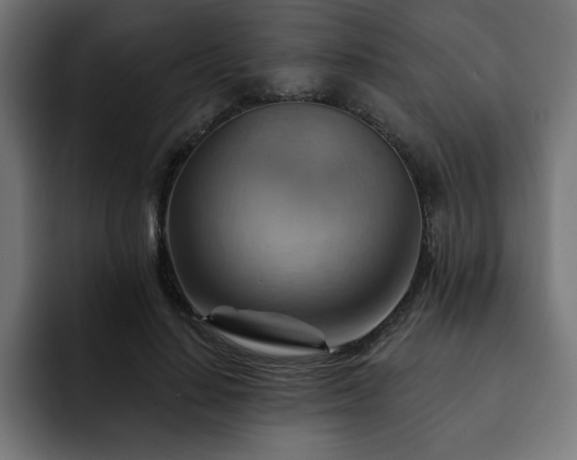X0000093110644200710031317