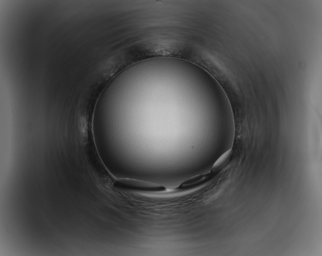 X0000093110646200710031317