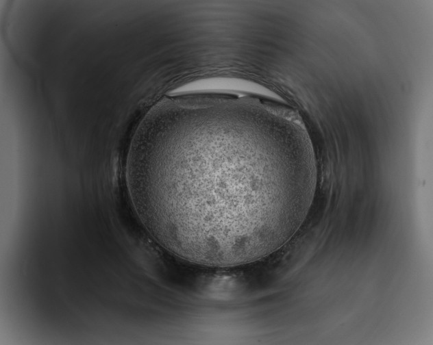 X0000093110647200710031317