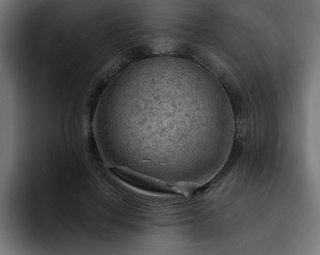 X0000093110648200710031317