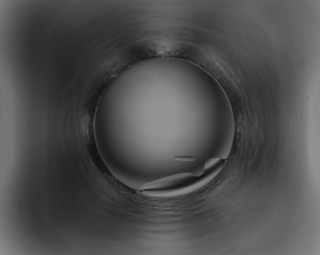 X0000093110650200710031317