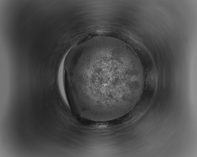 X0000093110651200710031317