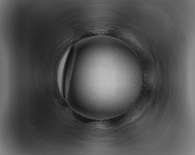 X0000093110652200710031317