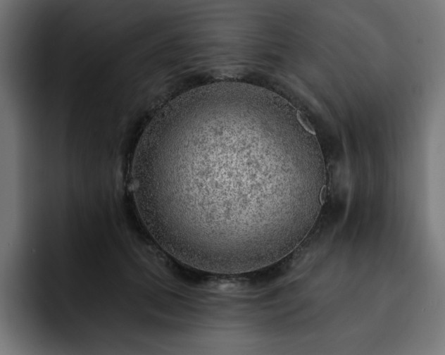 X0000093110655200710031317