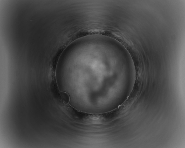 X0000093110659200710031317