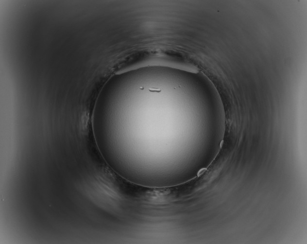 X0000093110660200710031317