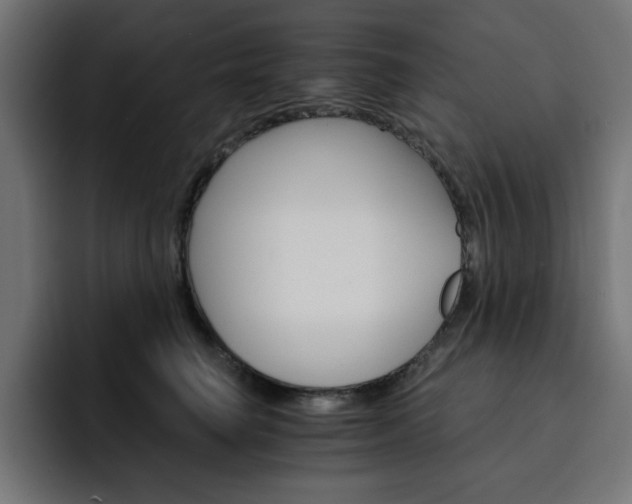 X0000093110662200710031317