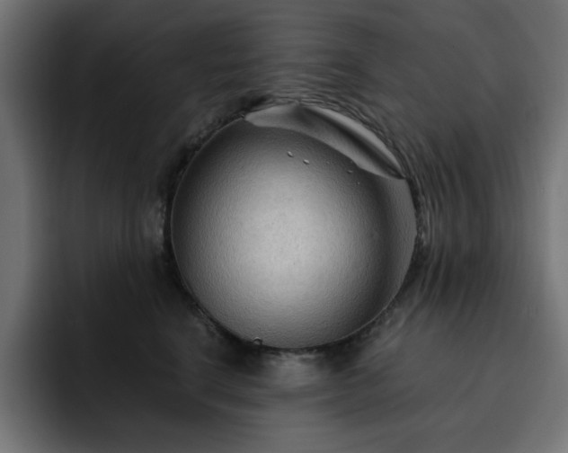 X0000093110664200710031317