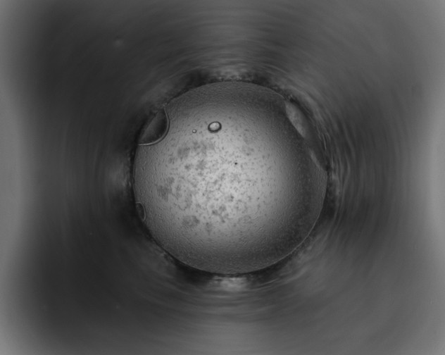 X0000093110665200710031317