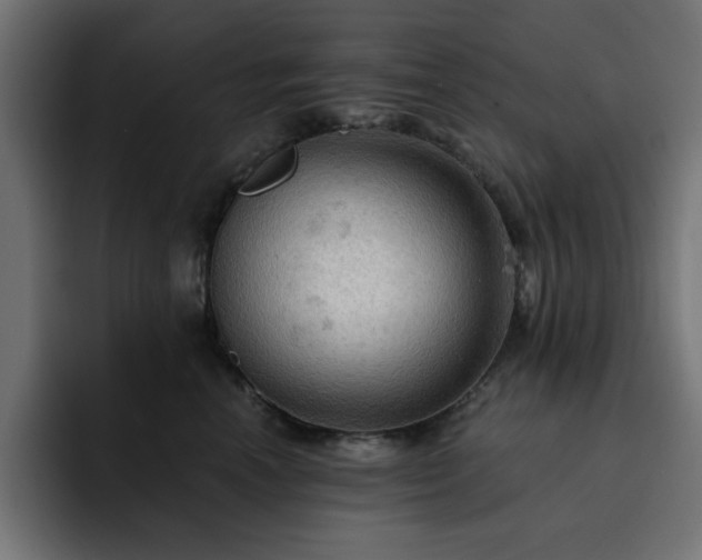 X0000093110666200710031317