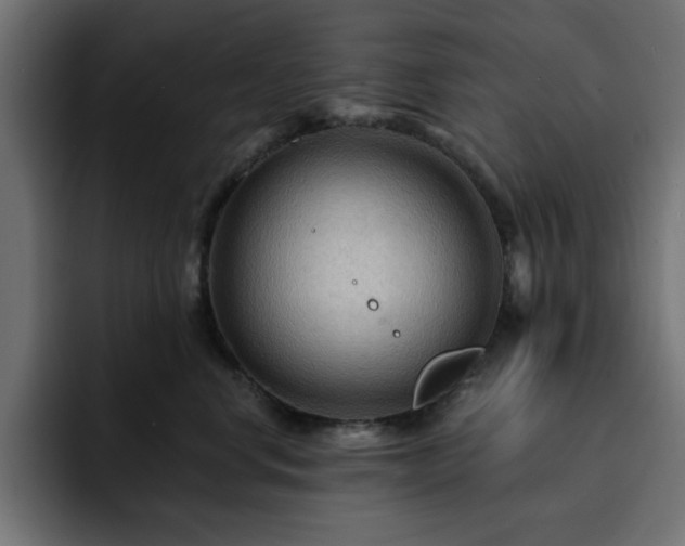 X0000093110668200710031317