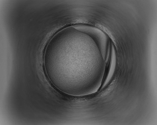 X0000093110673200710031316